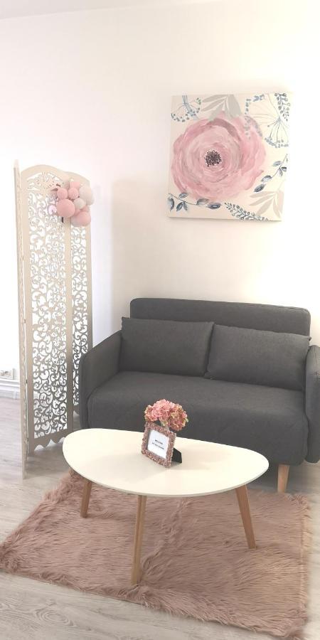 Diamond Apartment Targu Mures Luaran gambar