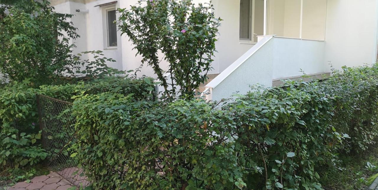 Diamond Apartment Targu Mures Luaran gambar