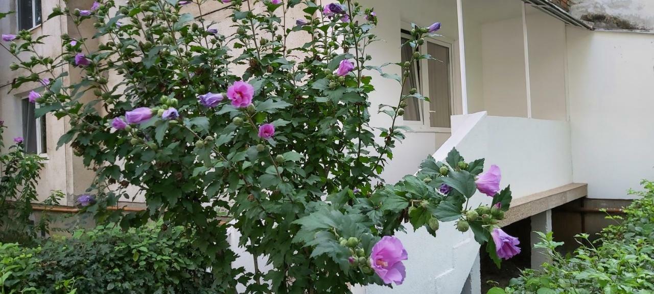 Diamond Apartment Targu Mures Luaran gambar